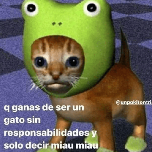 MEMES CUTE😊😆 11