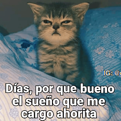 MEMES CUTE😊😆 27