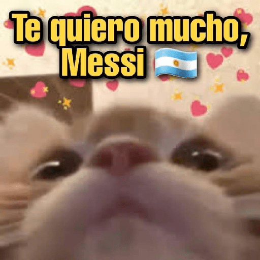 MEMES CUTE😊😆 28