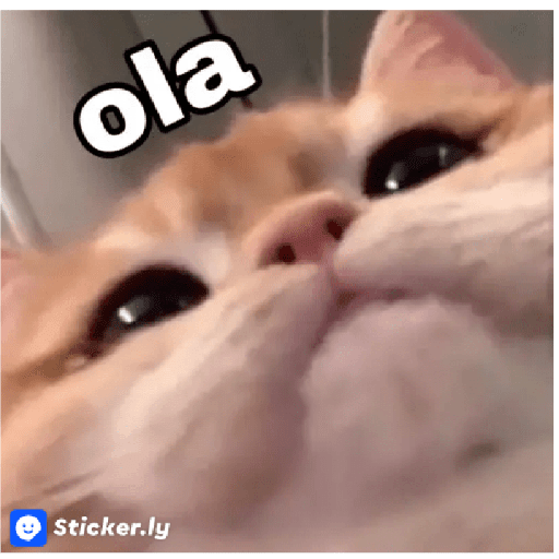 MEMES CUTE😊😆 3