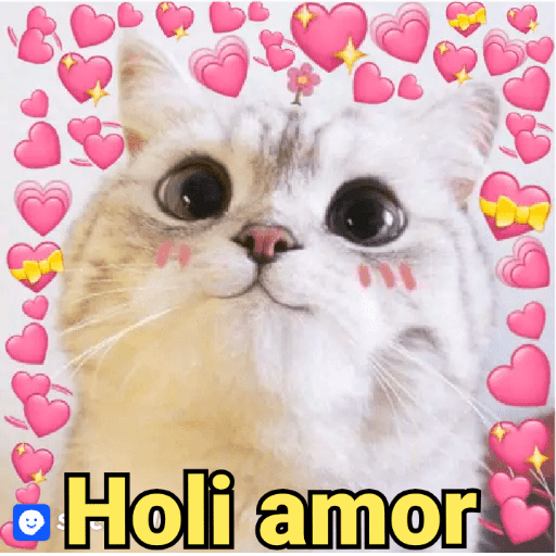 MEMES CUTE😊😆 8