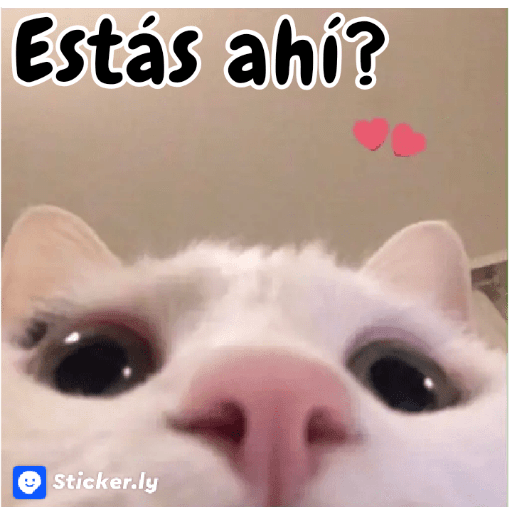 MEMES CUTE😊😆 7