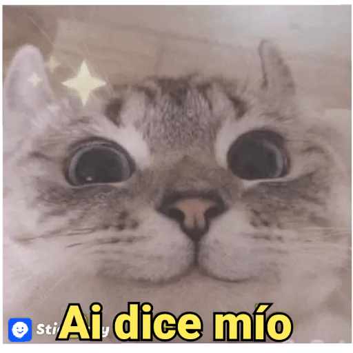 MEMES CUTE😊😆 2