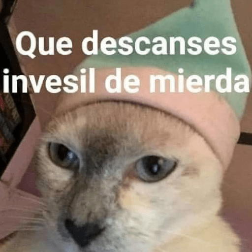 MEMES CUTE😊😆 10