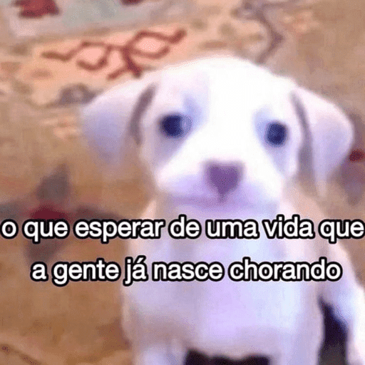 Minhas fogurinhas 24