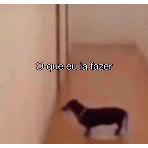 Minhas fogurinhas 22