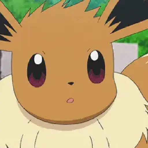Pokémon 8