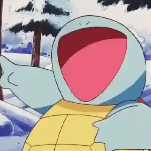 Pokémon 29