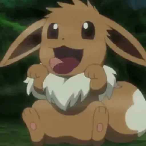Pokémon 17