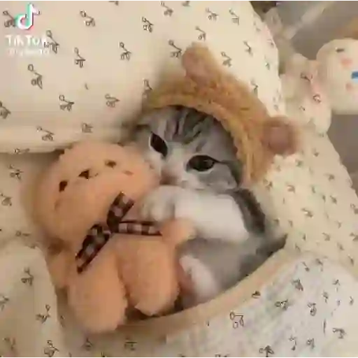 Figurinhas da lulu ❤️ 4