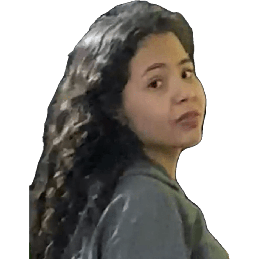 Família 23