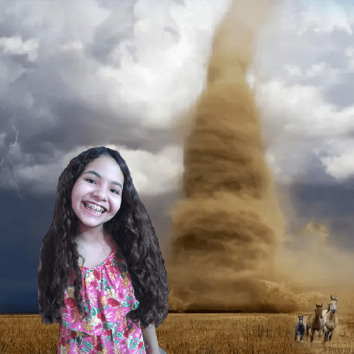 Família 11