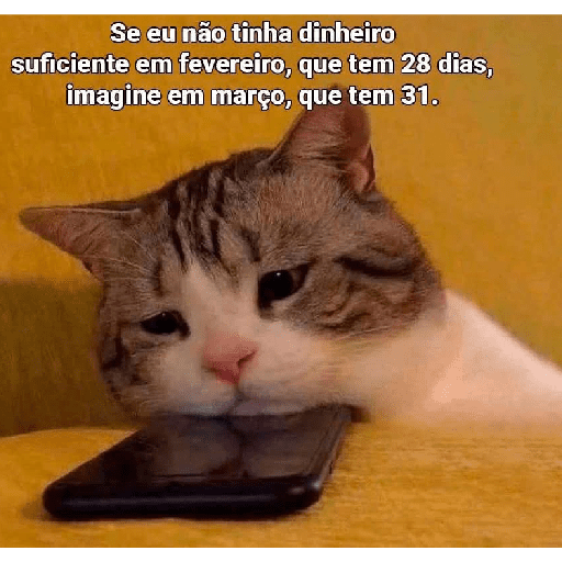 Família 19