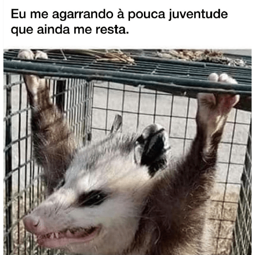 Kkk 12