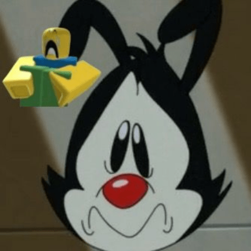 𓏵  ｡ 🎉 𐦯  Yakko Warner 𖥻  ᰋ 4