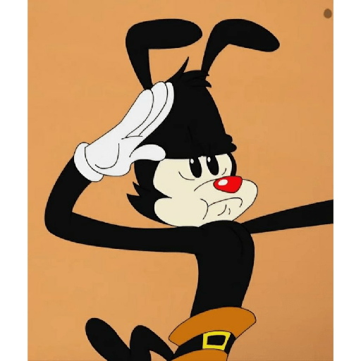 𓏵  ｡ 🎉 𐦯  Yakko Warner 𖥻  ᰋ 17