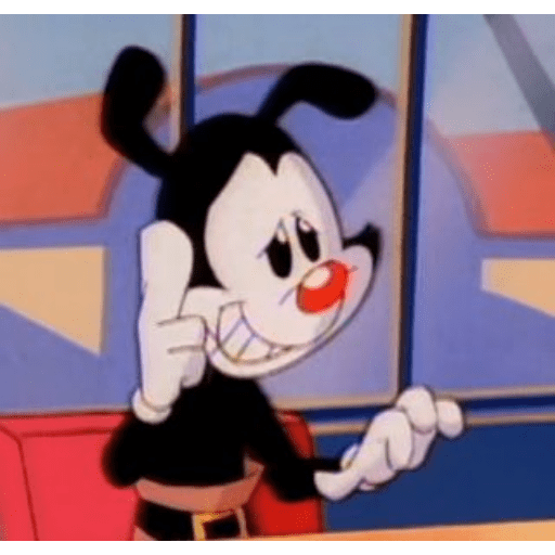 𓏵  ｡ 🎉 𐦯  Yakko Warner 𖥻  ᰋ 13