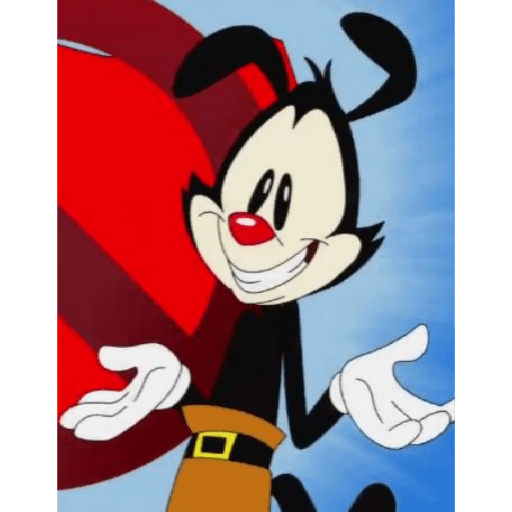 𓏵  ｡ 🎉 𐦯  Yakko Warner 𖥻  ᰋ 12