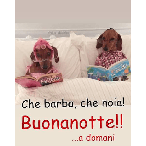 I miei adesivi 21