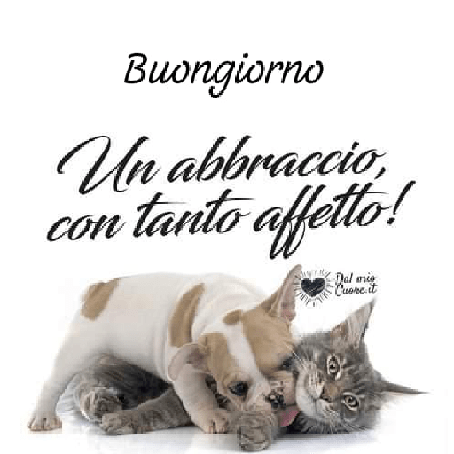 I miei adesivi 19