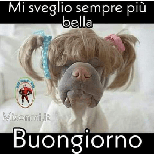 I miei adesivi 18