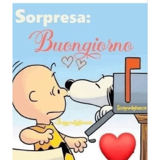 I miei adesivi 9