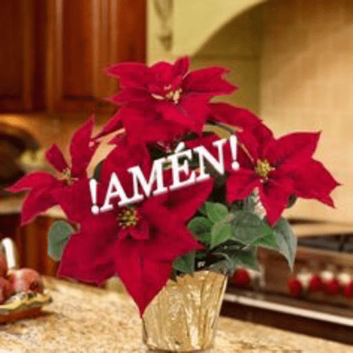 Amén Navideño  9