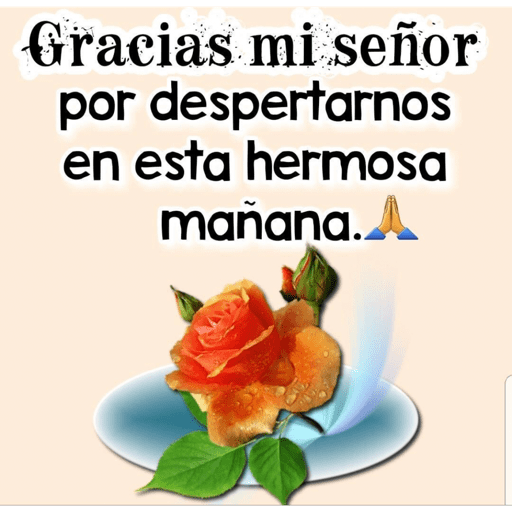 Gracias Dios! 2