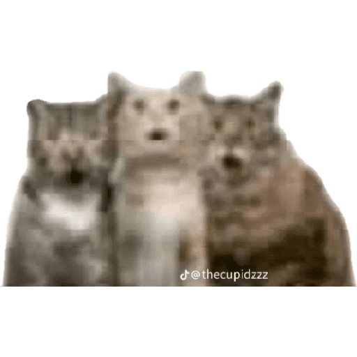 Emojis no sense 9