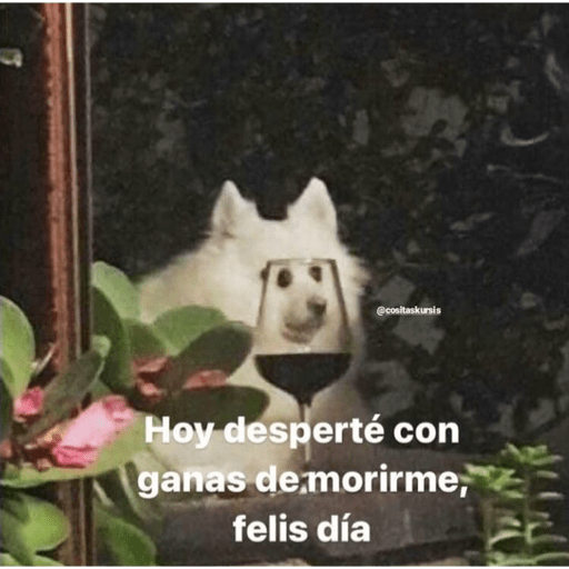 Lo que sea, me da igual. 8