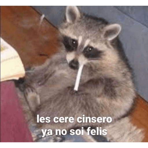 Lo que sea, me da igual. 9