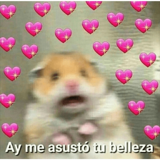 Jaja 19