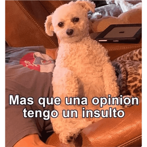Moderrn 16