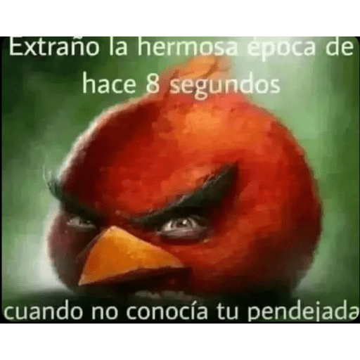 Mis vvs... 23