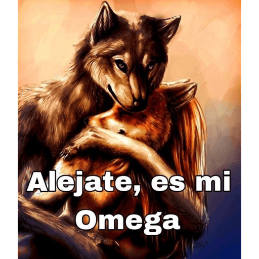 Mis vvs... 14