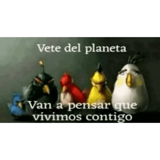 Mis vvs... 22