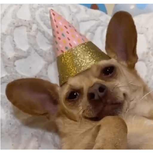 Tô assistindo 3