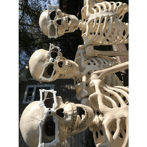 Caveiras alucinadas 14