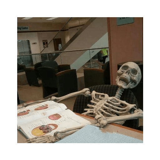 Caveiras alucinadas 17