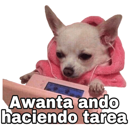 5 Packs De Stickers Graciosos Para Whatsapp vrogue.co