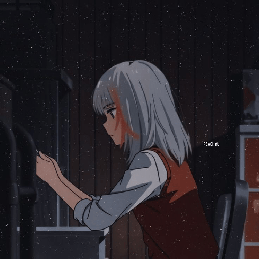Animé 13