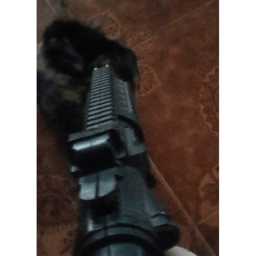 Gatos  21