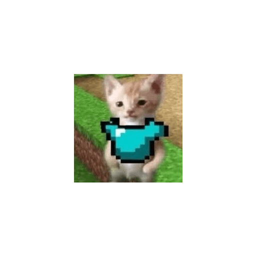 Gatos  2
