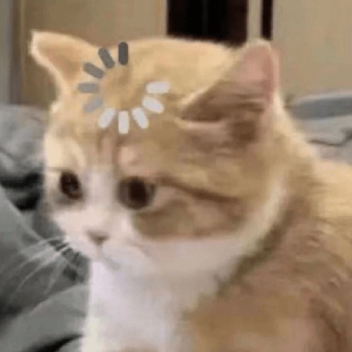 Gatos  17