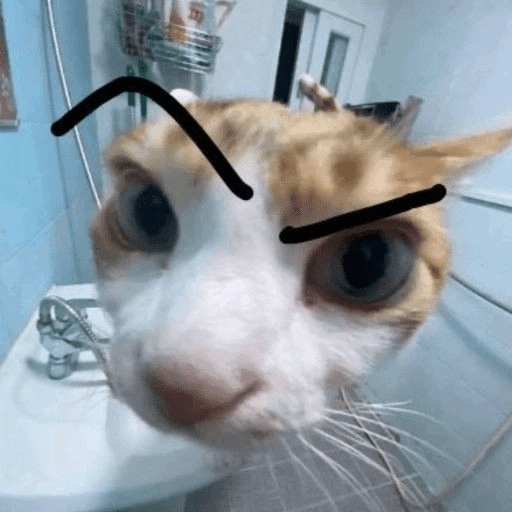 Gatos  19