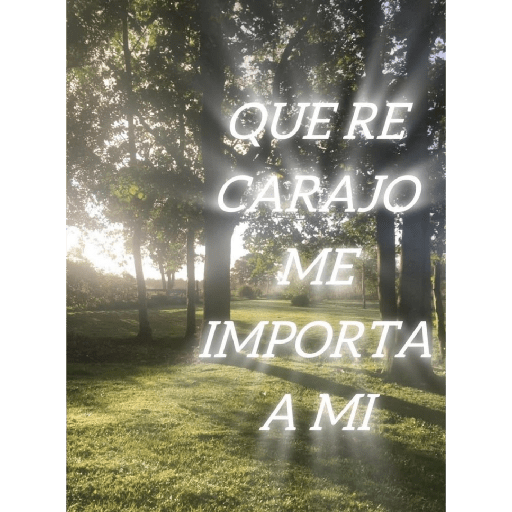 Estados graciosos 16