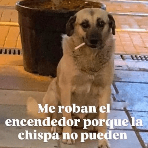 Estados graciosos 22
