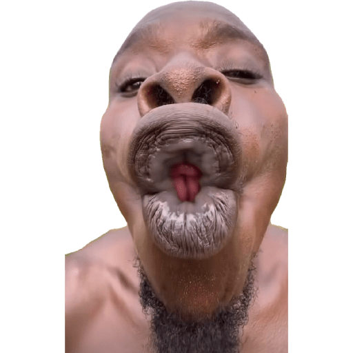 ///// 11