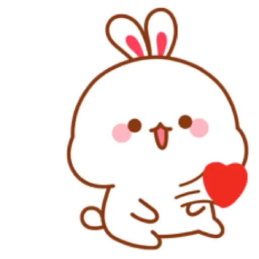 Tuji Bunny💗🐰 11