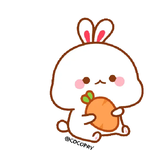 Tuji Bunny💗🐰 6